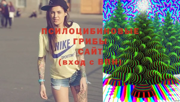 дмт Алзамай