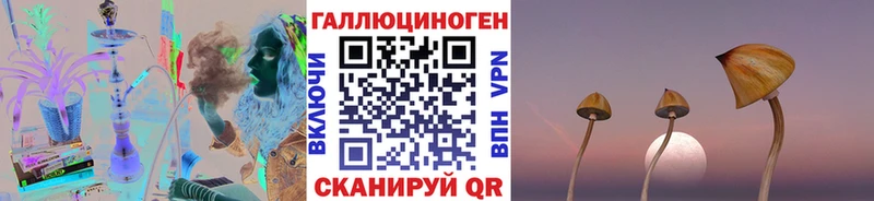 Псилоцибиновые грибы Psilocybine cubensis  Комсомольск 
